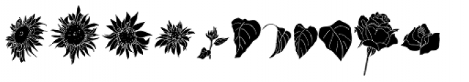 Flower Sketch Neue Font LOWERCASE
