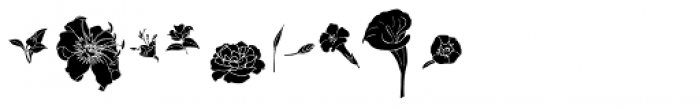 Flower Sketch Font OTHER CHARS