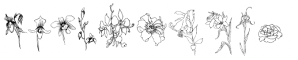 Flower Sketch Font UPPERCASE