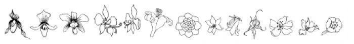 Flower Sketch Font LOWERCASE