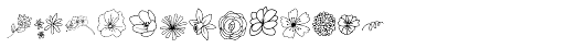 Flower power script Symbols Font LOWERCASE