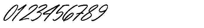 Flowers the Breeze  Italic Italic Font OTHER CHARS