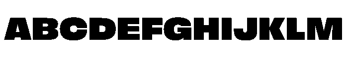 FLArtGrotesk AmpleBlack Font UPPERCASE