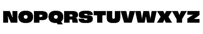 FLArtGrotesk AmpleBlack Font UPPERCASE