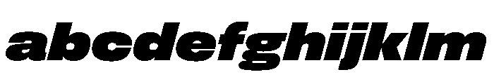 FLArtGrotesk AmpleBlackItalic FONT
