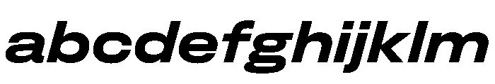 FLArtGrotesk AmpleBoldItalic FONT