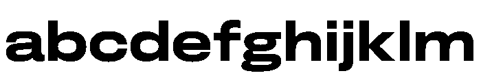FLArtGrotesk AmpleBold FONT