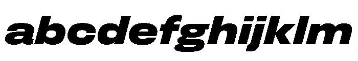 FLArtGrotesk AmpleDarkItalic FONT