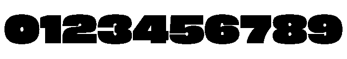 FLArtGrotesk AmpleDense Font OTHER CHARS