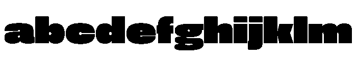 FLArtGrotesk AmpleDense FONT
