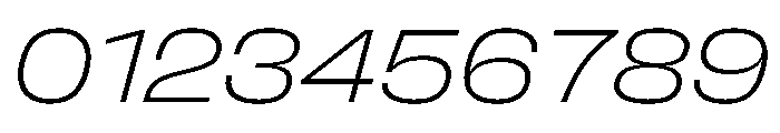 FLArtGrotesk AmpleFineItalic Font OTHER CHARS