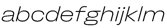 FLArtGrotesk AmpleFineItalic FONT