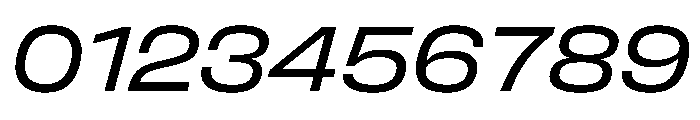 FLArtGrotesk AmpleRegularItalic Font OTHER CHARS