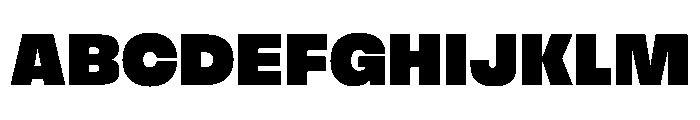 FLArtGrotesk Black Font UPPERCASE