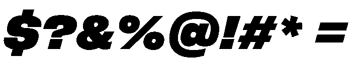 FLArtGrotesk BlackItalic Font OTHER CHARS