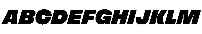 FLArtGrotesk BlackItalic Font UPPERCASE