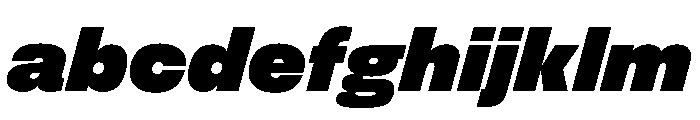 FLArtGrotesk BlackItalic FONT