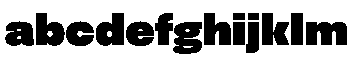 FLArtGrotesk Black FONT