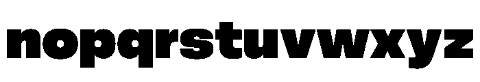 FLArtGrotesk Black Font LOWERCASE