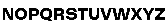 FLArtGrotesk Bold Font UPPERCASE