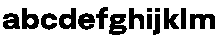 FLArtGrotesk Bold FONT