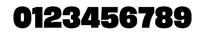 FLArtGrotesk CompactBlack Font OTHER CHARS