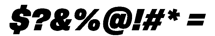 FLArtGrotesk CompactBlackItalic Font OTHER CHARS