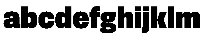 FLArtGrotesk CompactBlack FONT