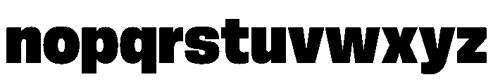 FLArtGrotesk CompactBlack Font LOWERCASE