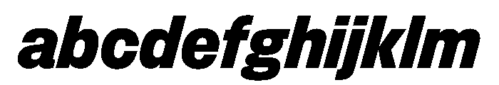FLArtGrotesk CompactDarkItalic FONT