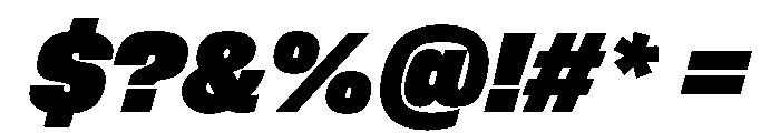 FLArtGrotesk CompactDenseItalic Font OTHER CHARS
