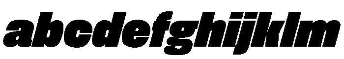 FLArtGrotesk CompactDenseItalic FONT