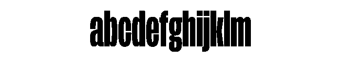 FLArtGrotesk CondensedBlack FONT