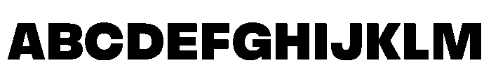 FLArtGrotesk Dark Font UPPERCASE