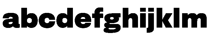 FLArtGrotesk Dark FONT