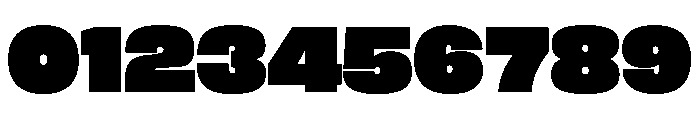 FLArtGrotesk Dense Font OTHER CHARS
