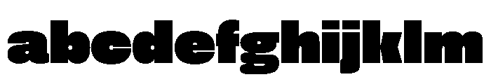 FLArtGrotesk Dense FONT