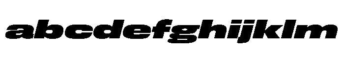 FLArtGrotesk GrandBlackItalic FONT