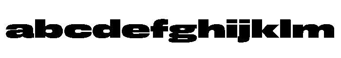 FLArtGrotesk GrandBlack FONT
