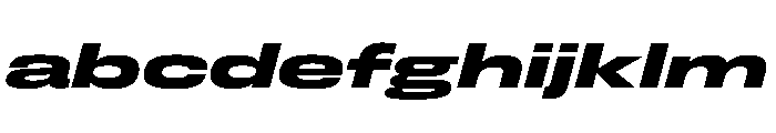 FLArtGrotesk GrandDarkItalic FONT