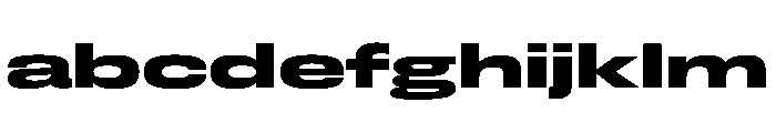 FLArtGrotesk GrandDark FONT