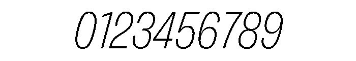 FLArtGrotesk NarrowFineItalic Font OTHER CHARS