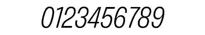 FLArtGrotesk NarrowLightItalic Font OTHER CHARS