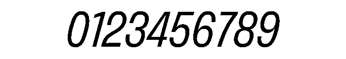 FLArtGrotesk NarrowRegularItalic Font OTHER CHARS