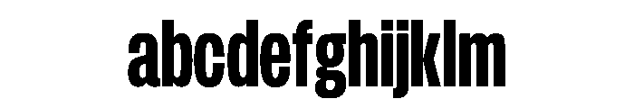 FLArtGrotesk TightDark FONT