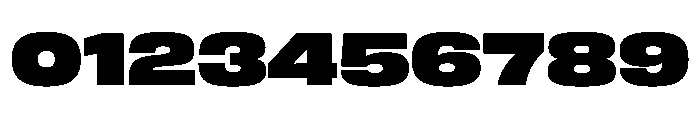 FLArtGrotesk WideBlack Font OTHER CHARS