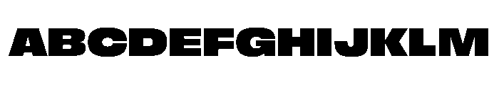 FLArtGrotesk WideBlack Font UPPERCASE