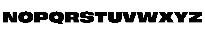 FLArtGrotesk WideBlack Font UPPERCASE