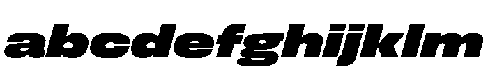 FLArtGrotesk WideBlackItalic FONT