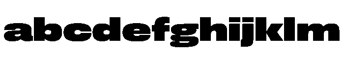 FLArtGrotesk WideBlack FONT